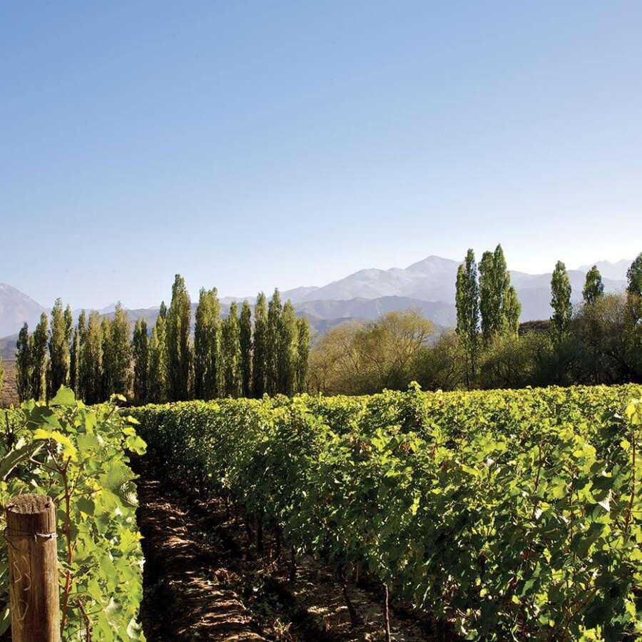 Terroir Weather Part Web